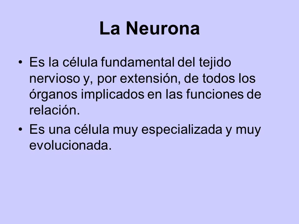 La Neurona Es la célula fundamental del tejido nervioso y, por extensión, de todos los órganos implicados en las funciones de relación.