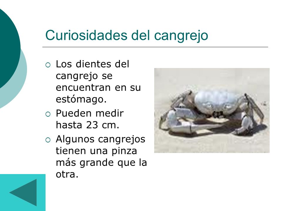 Curiosidades del cangrejo