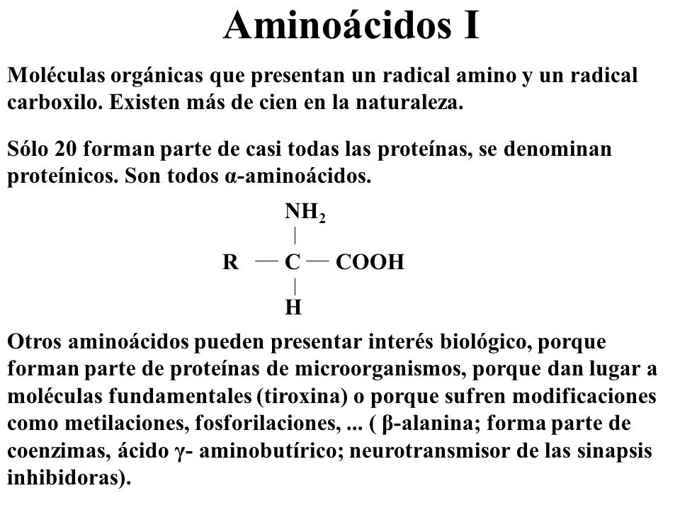 Aminoácidos I Moléculas orgánicas que presentan un radical amino y un radical carboxilo. Existen más de cien en la naturaleza.