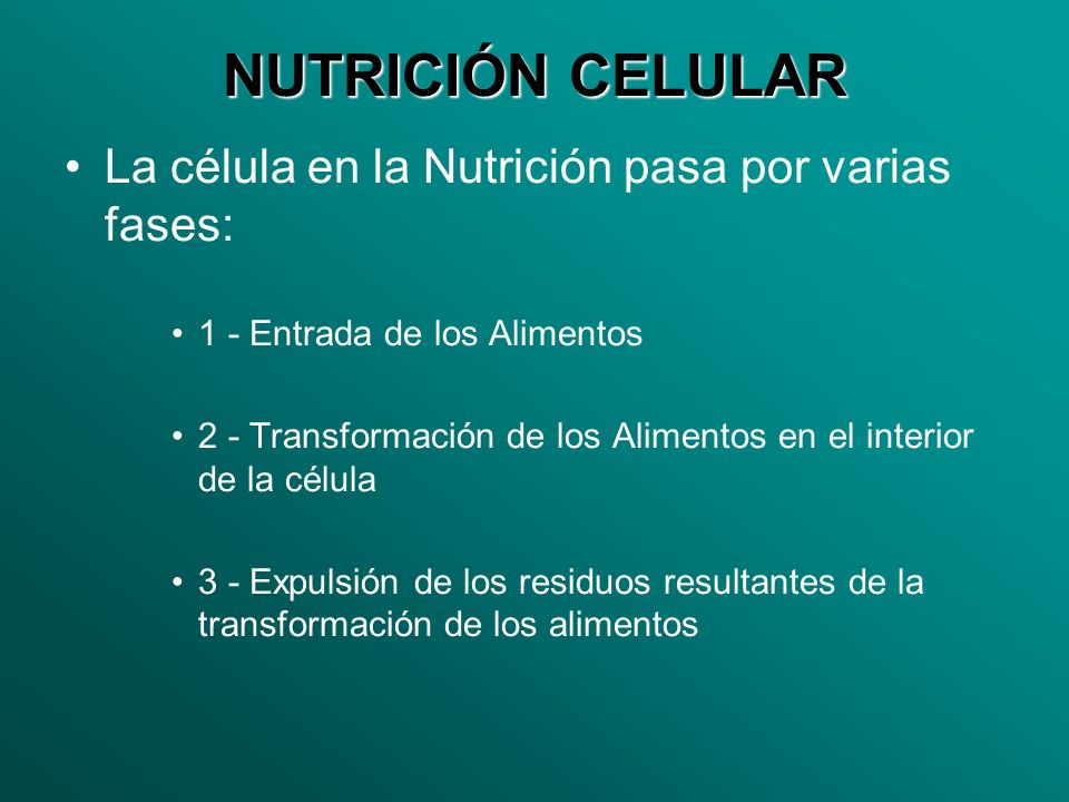 NUTRICIÓN CELULAR La célula en la Nutrición pasa por varias fases: