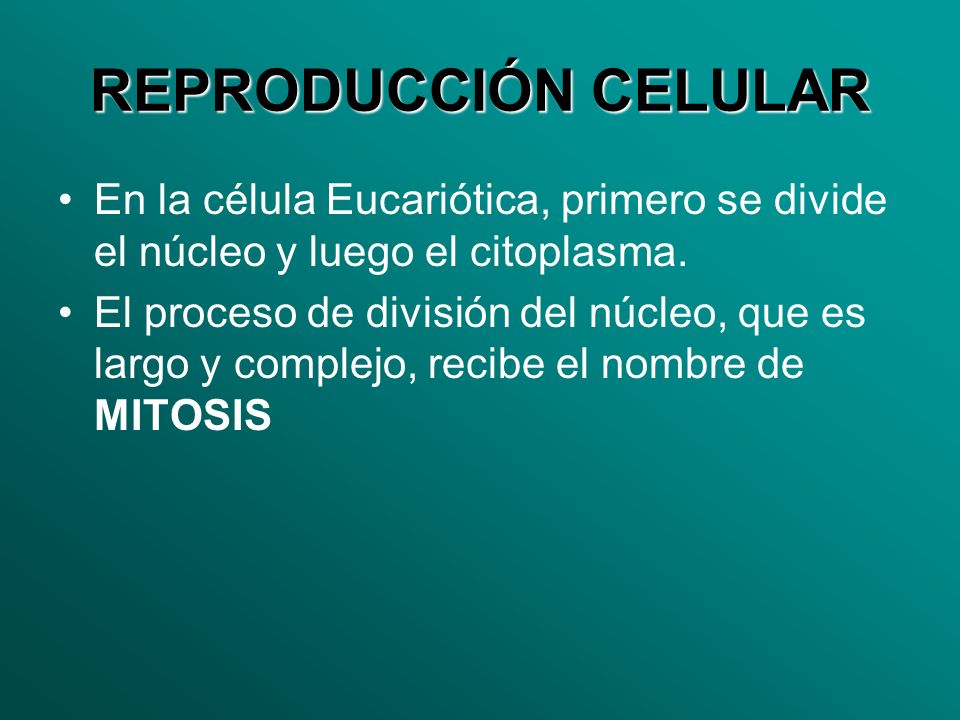 REPRODUCCIÓN CELULAR En la célula Eucariótica, primero se divide el núcleo y luego el citoplasma.