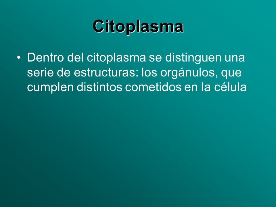 Citoplasma Dentro del citoplasma se distinguen una serie de estructuras: los orgánulos, que cumplen distintos cometidos en la célula.