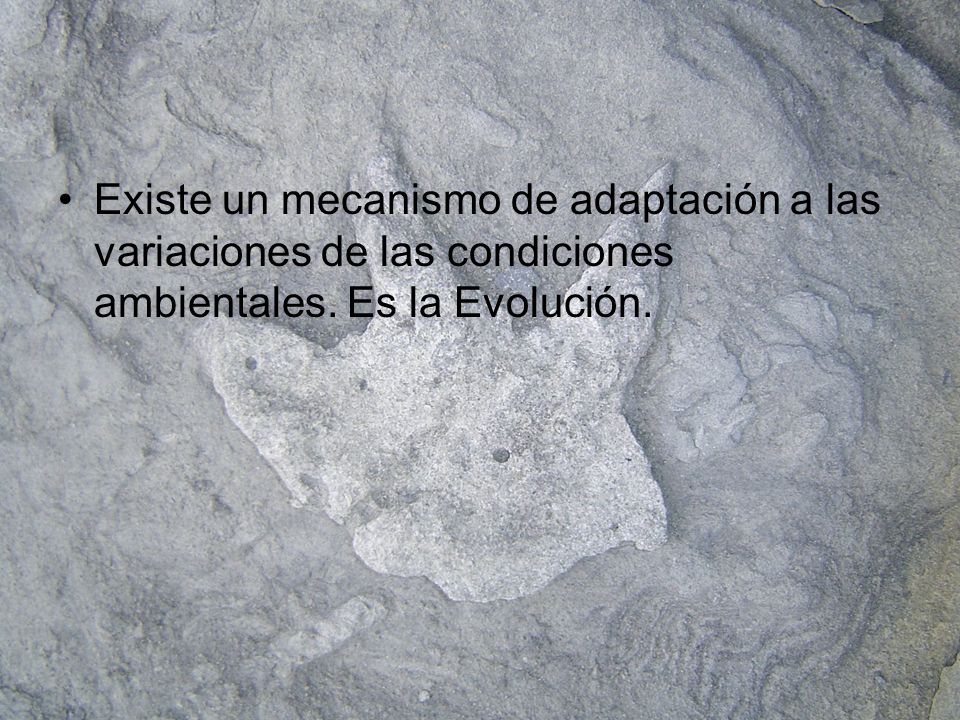 Existe un mecanismo de adaptación a las variaciones de las condiciones ambientales. Es la Evolución.
