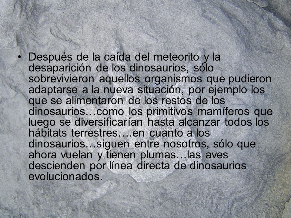 Después de la caída del meteorito y la desaparición de los dinosaurios, sólo sobrevivieron aquellos organismos que pudieron adaptarse a la nueva situación, por ejemplo los que se alimentaron de los restos de los dinosaurios…como los primitivos mamíferos que luego se diversificarían hasta alcanzar todos los hábitats terrestres….en cuanto a los dinosaurios…siguen entre nosotros, sólo que ahora vuelan y tienen plumas…las aves descienden por línea directa de dinosaurios evolucionados.