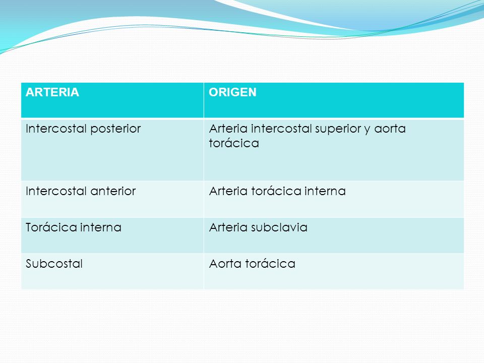 ARTERIA ORIGEN. Intercostal posterior. Arteria intercostal superior y aorta torácica. Intercostal anterior.