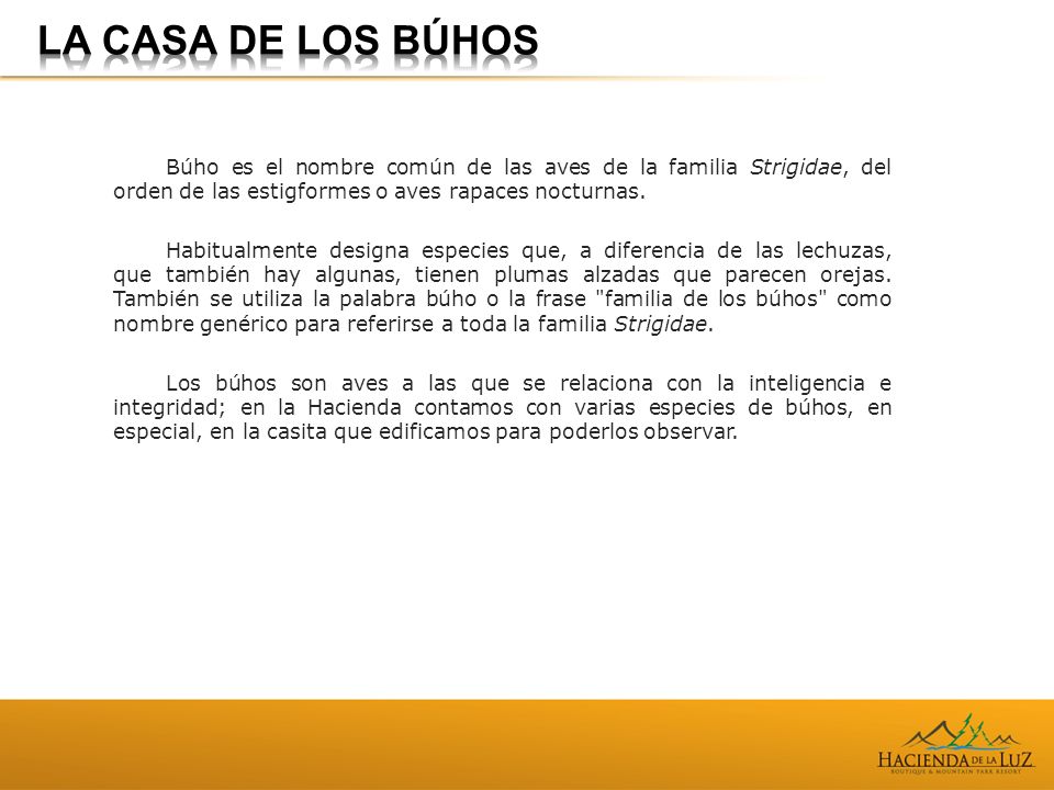 LA CASA DE LOS BÚHOS Búho es el nombre común de las aves de la familia Strigidae, del orden de las estigformes o aves rapaces nocturnas.