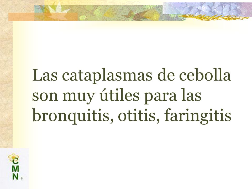 Las cataplasmas de cebolla son muy útiles para las bronquitis, otitis, faringitis