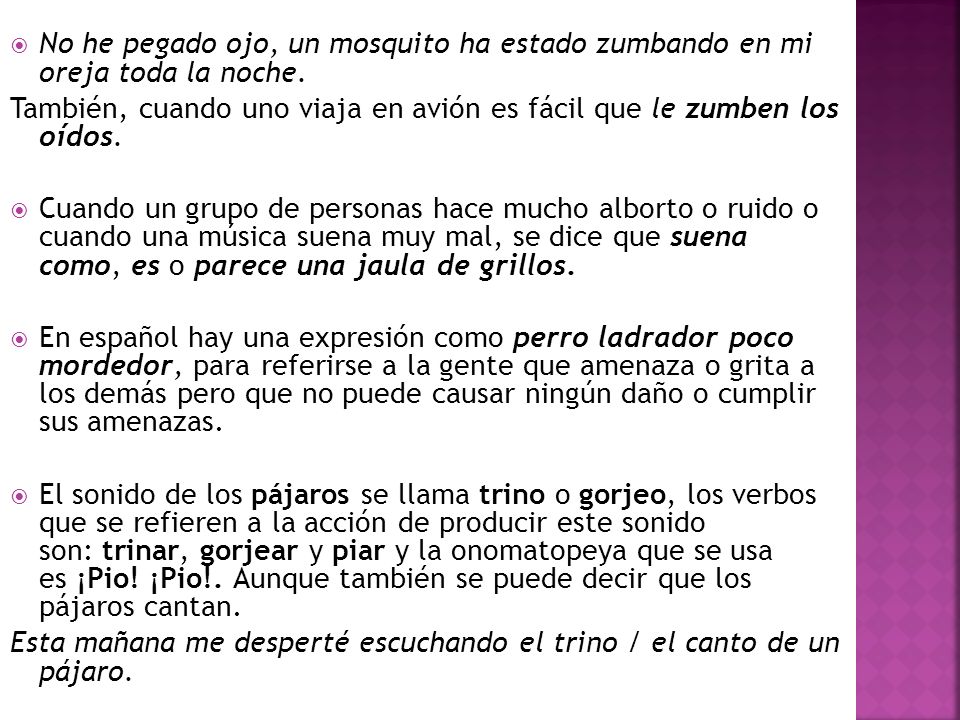 No he pegado ojo, un mosquito ha estado zumbando en mi oreja toda la noche.