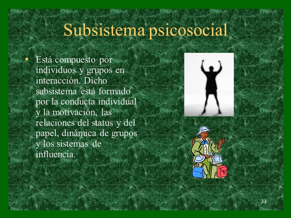 Subsistema psicosocial • Está compuesto por individuos y grupos en