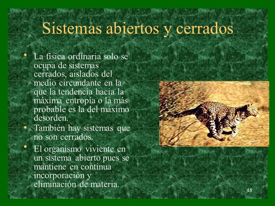 Sistemas abiertos y cerrados • • La física ordinaria solo se