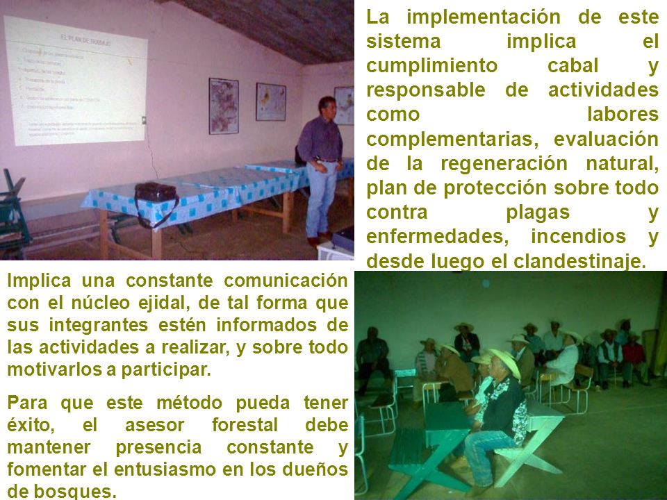 La implementación de este sistema implica el cumplimiento cabal y responsable de actividades como labores complementarias, evaluación de la regeneración natural, plan de protección sobre todo contra plagas y enfermedades, incendios y desde luego el clandestinaje.