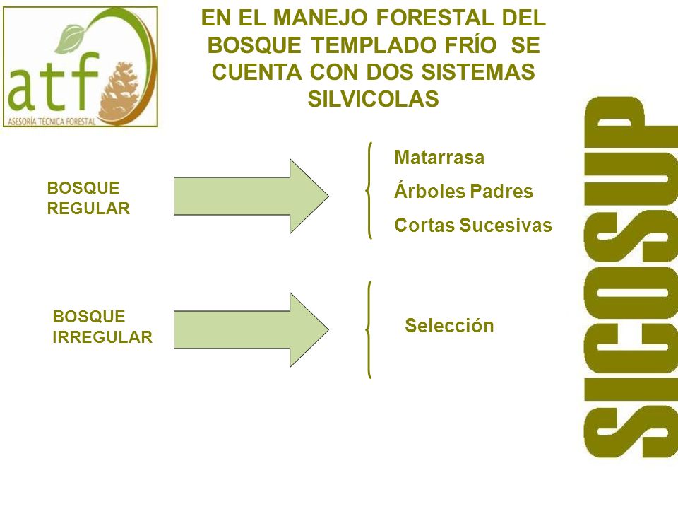 EN EL MANEJO FORESTAL DEL BOSQUE TEMPLADO FRÍO SE CUENTA CON DOS SISTEMAS SILVICOLAS