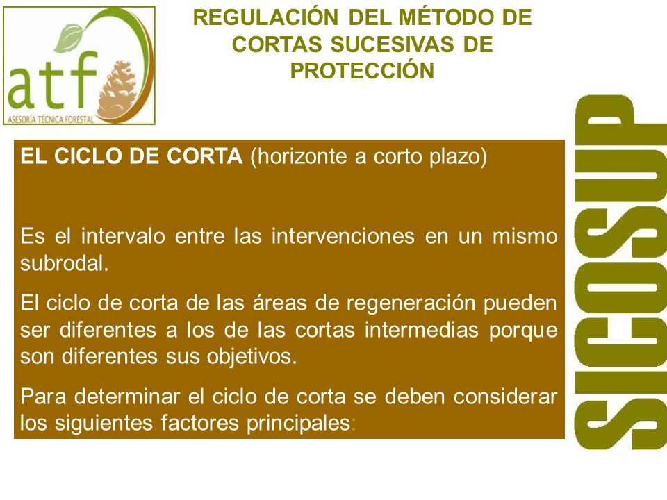 REGULACIÓN DEL MÉTODO DE CORTAS SUCESIVAS DE PROTECCIÓN