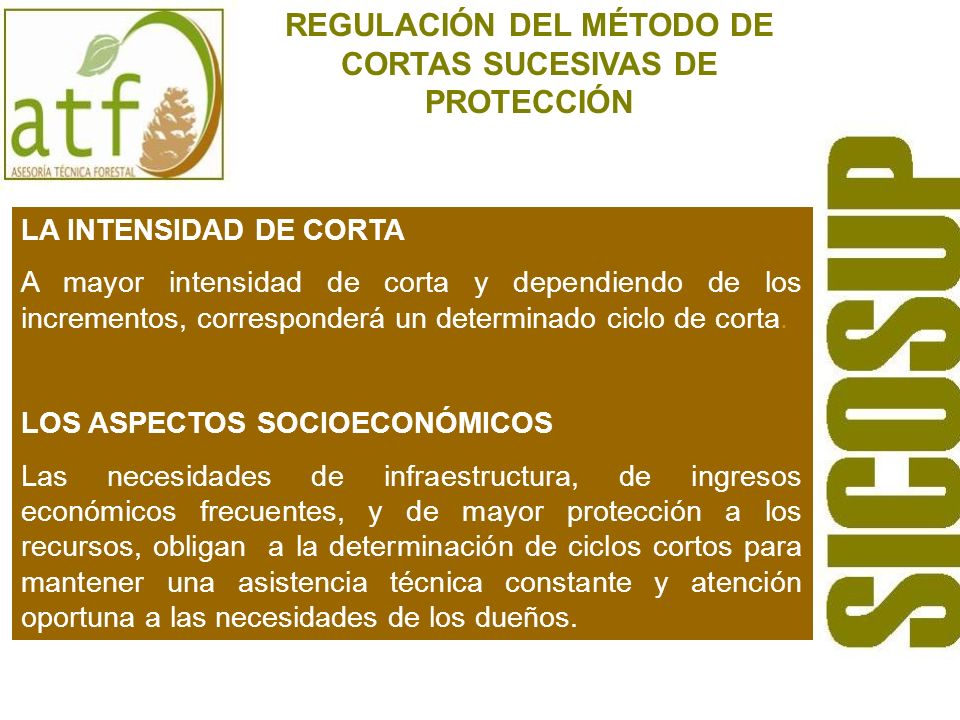 REGULACIÓN DEL MÉTODO DE CORTAS SUCESIVAS DE PROTECCIÓN