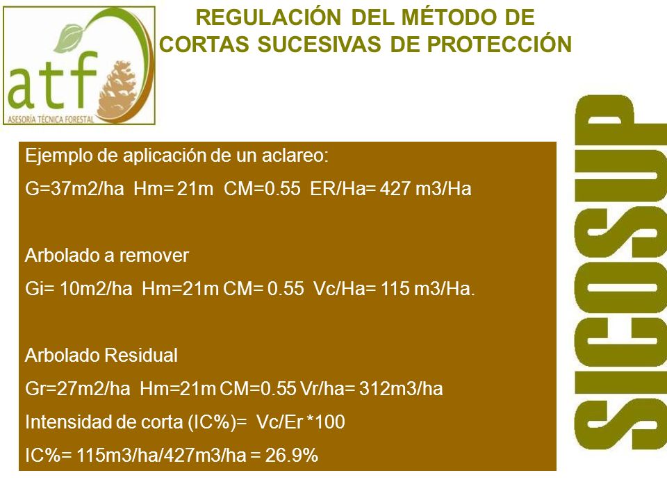 REGULACIÓN DEL MÉTODO DE CORTAS SUCESIVAS DE PROTECCIÓN