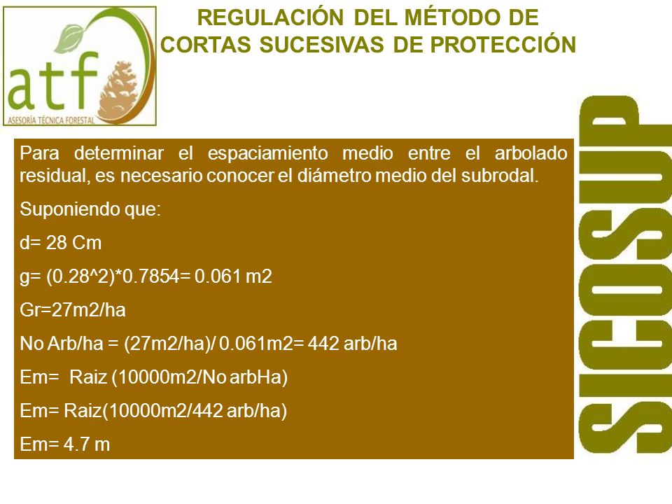 REGULACIÓN DEL MÉTODO DE CORTAS SUCESIVAS DE PROTECCIÓN
