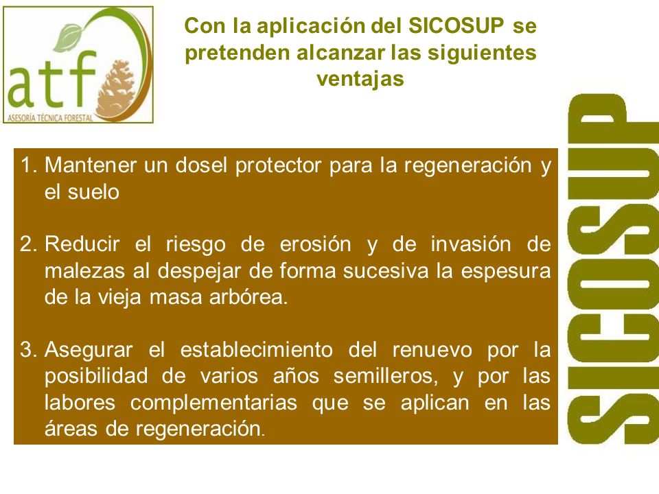 Con la aplicación del SICOSUP se pretenden alcanzar las siguientes ventajas