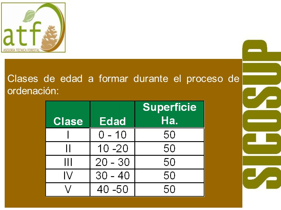 Clases de edad a formar durante el proceso de ordenación:
