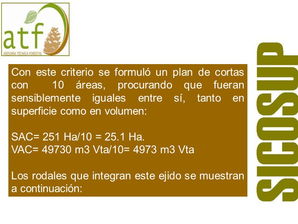 Con este criterio se formuló un plan de cortas con 10 áreas, procurando que fueran sensiblemente iguales entre sí, tanto en superficie como en volumen: