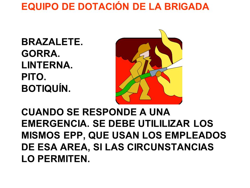 EQUIPO DE DOTACIÓN DE LA BRIGADA BRAZALETE. GORRA. LINTERNA. PITO