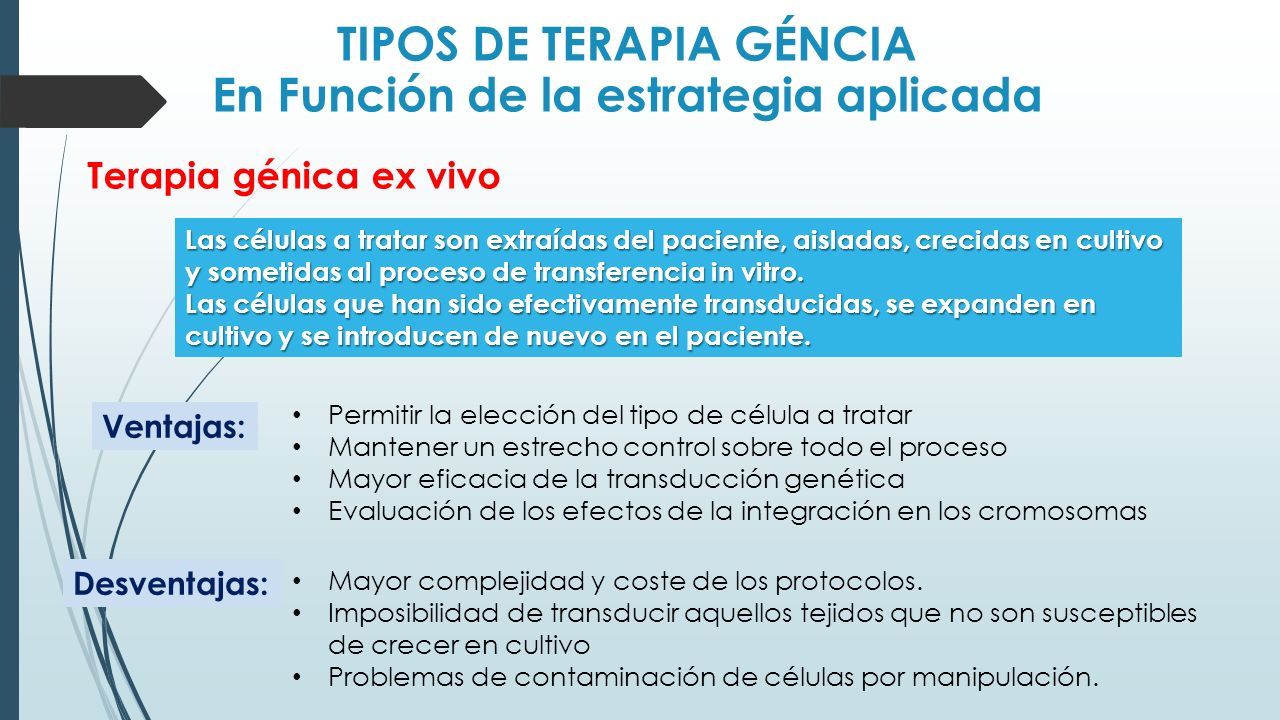 TIPOS DE TERAPIA GÉNCIA En Función de la estrategia aplicada