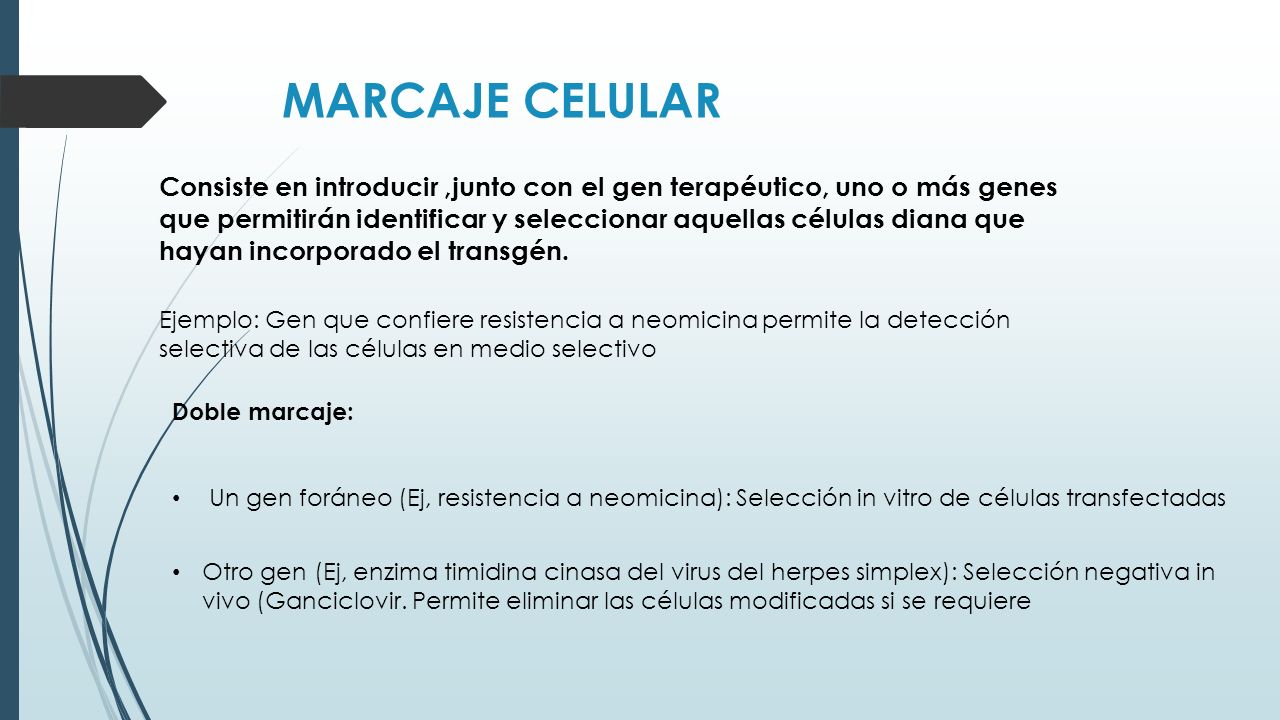 MARCAJE CELULAR