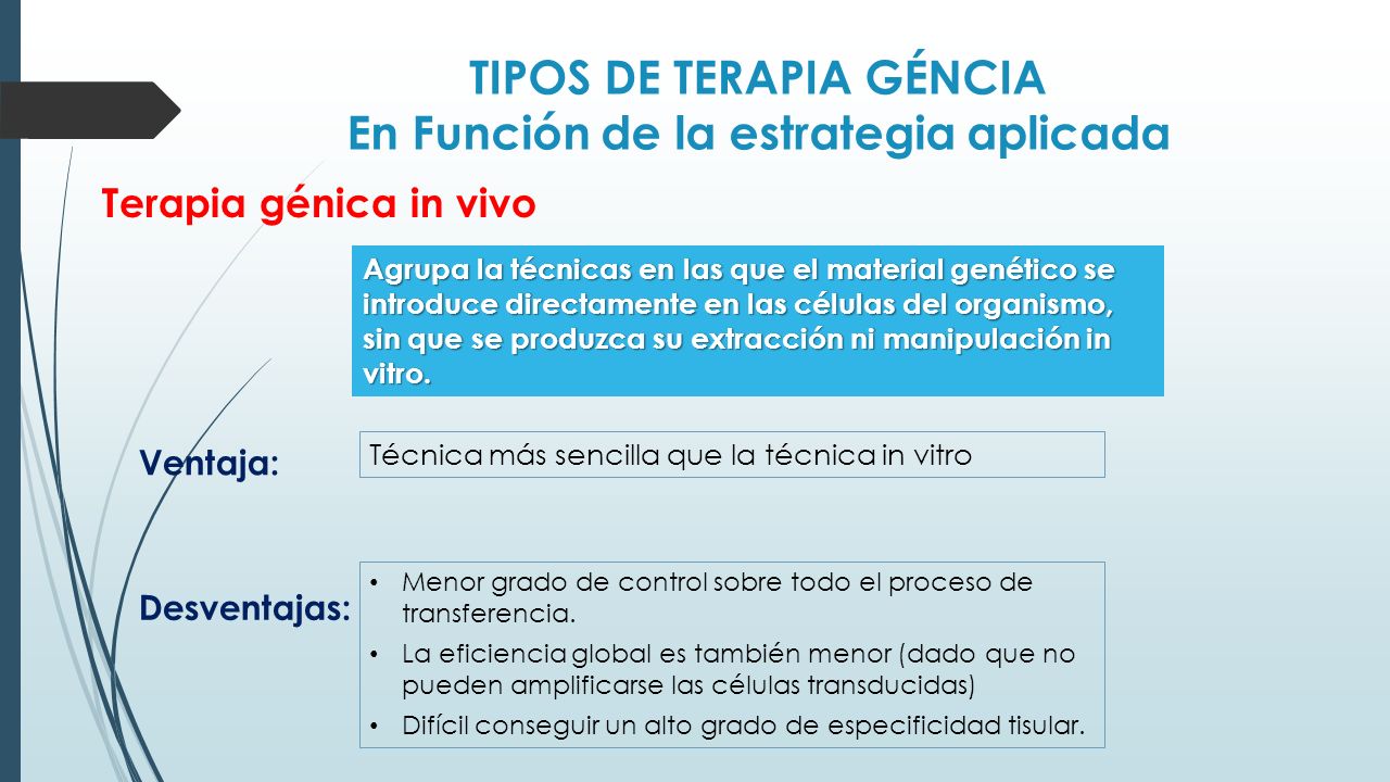 TIPOS DE TERAPIA GÉNCIA En Función de la estrategia aplicada