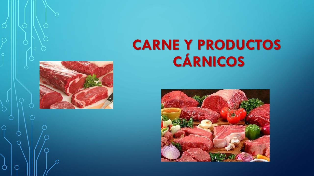 CARNE Y PRODUCTOS cárnicos