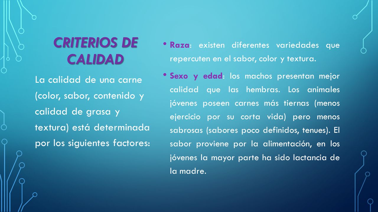 CRITERIOS DE CALIDAD Raza: existen diferentes variedades que repercuten en el sabor, color y textura.