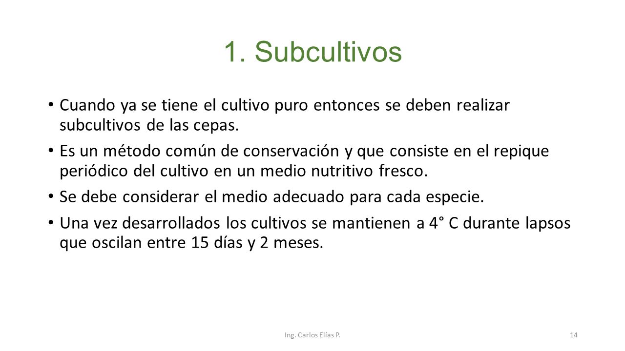1. Subcultivos Cuando ya se tiene el cultivo puro entonces se deben realizar subcultivos de las cepas.