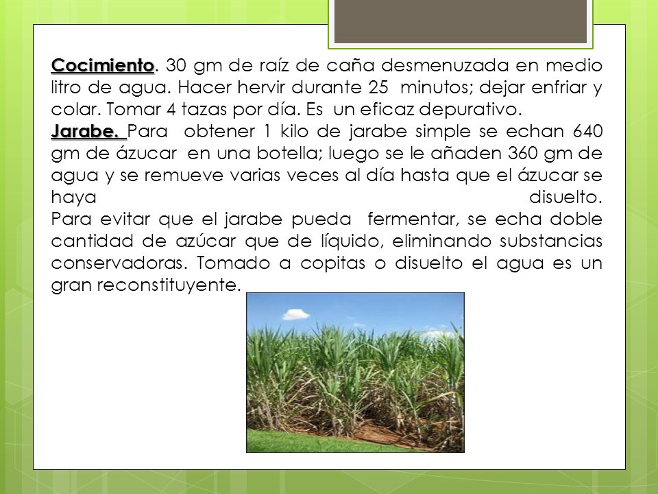 Cocimiento. 30 gm de raíz de caña desmenuzada en medio litro de agua