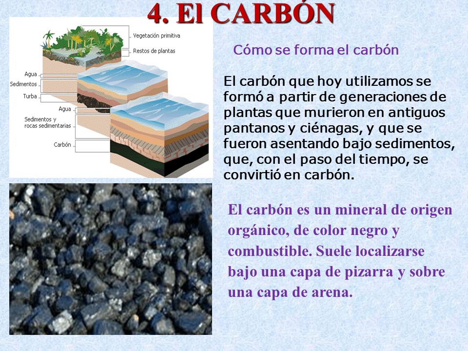 4. El CARBÓN El carbón es un mineral de origen