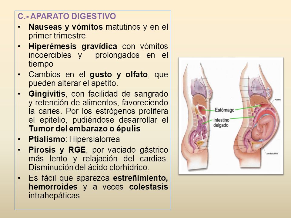 Valoracion Y Cuidados De Enfermeria En La Mujer Gestante