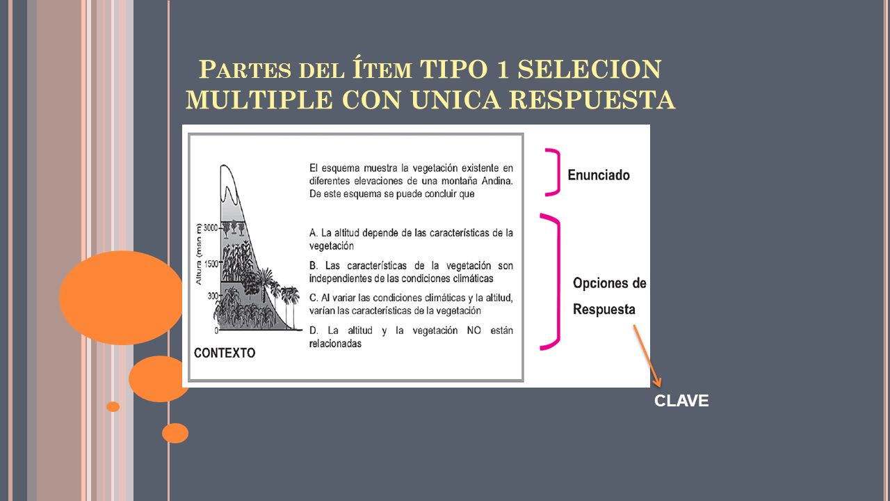 Partes del Ítem TIPO 1 SELECION MULTIPLE CON UNICA RESPUESTA