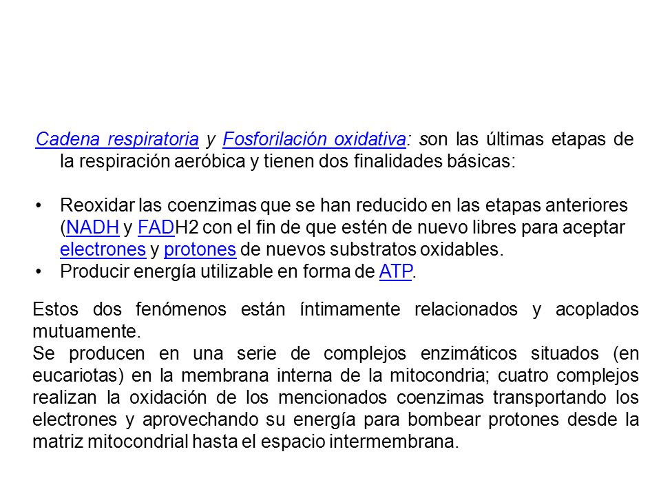 Cadena respiratoria y Fosforilación oxidativa: son las últimas etapas de la respiración aeróbica y tienen dos finalidades básicas: