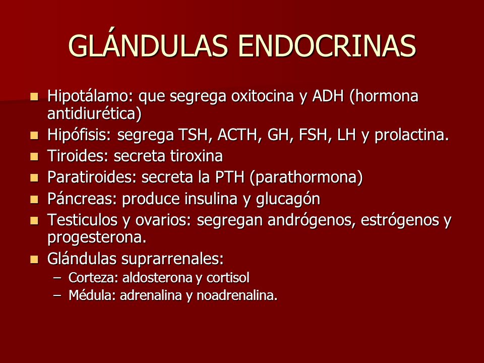 GLÁNDULAS ENDOCRINAS Hipotálamo: que segrega oxitocina y ADH (hormona antidiurética) Hipófisis: segrega TSH, ACTH, GH, FSH, LH y prolactina.