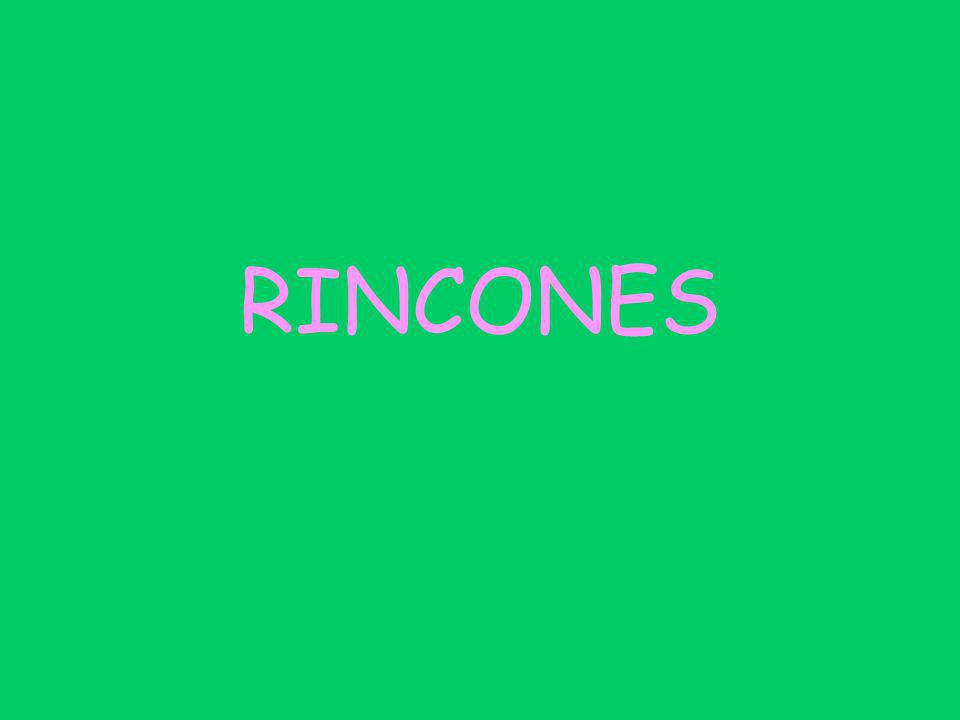 RINCONES
