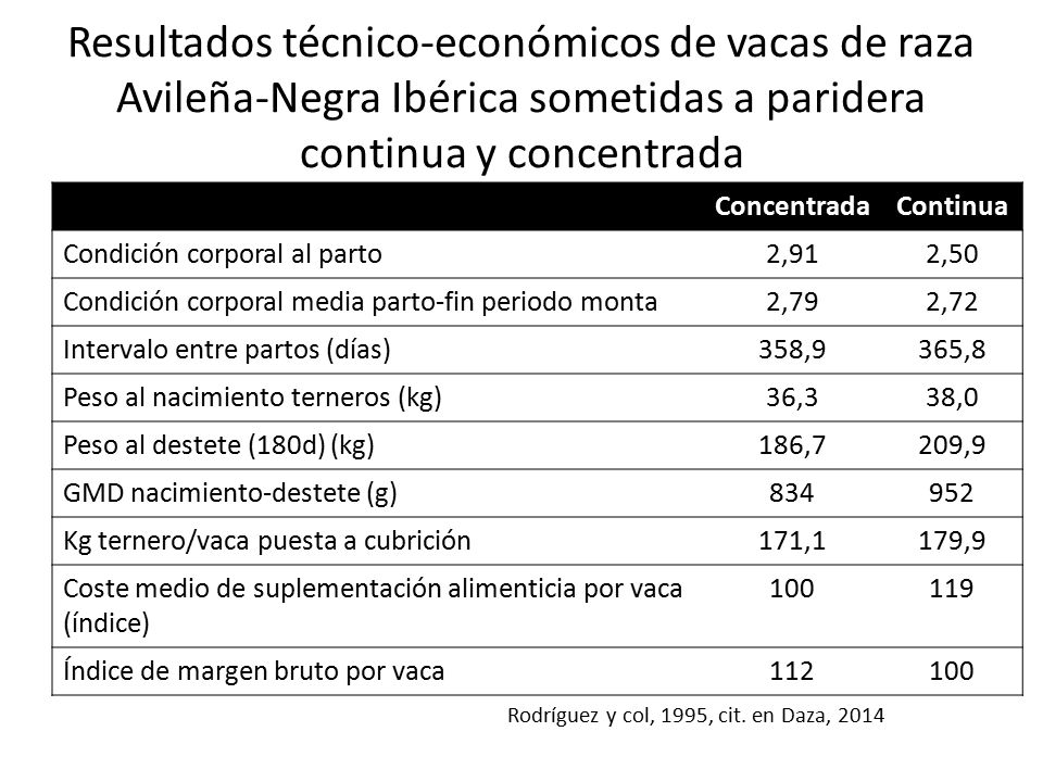 Resultados técnico-económicos de vacas de raza Avileña-Negra Ibérica sometidas a paridera continua y concentrada