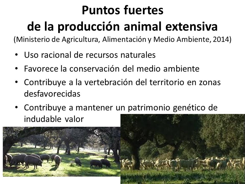 Puntos fuertes de la producción animal extensiva (Ministerio de Agricultura, Alimentación y Medio Ambiente, 2014)