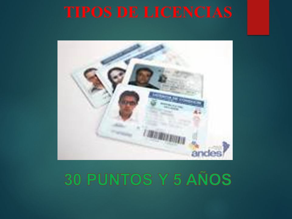 TIPOS DE LICENCIAS 30 PUNTOS Y 5 AÑOS