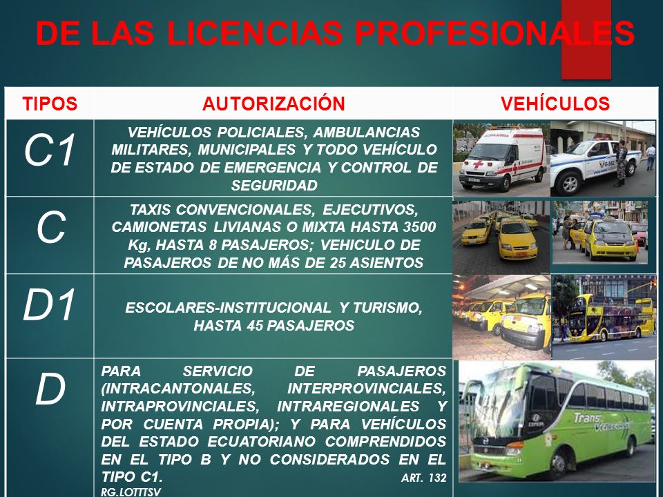 C1 C D1 D DE LAS LICENCIAS PROFESIONALES TIPOS AUTORIZACIÓN VEHÍCULOS