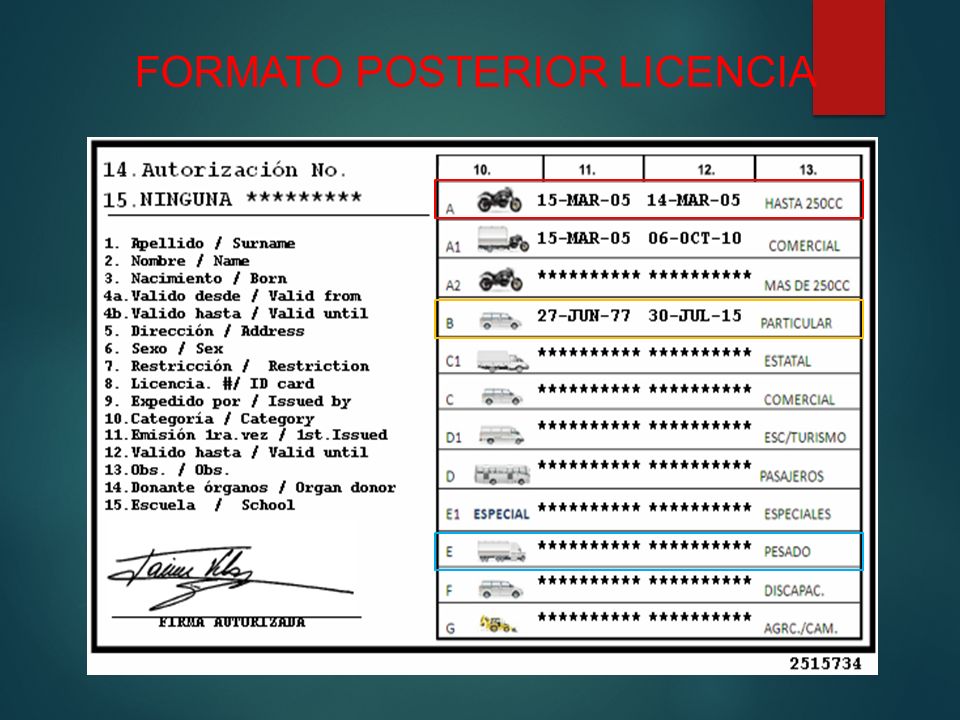 FORMATO POSTERIOR LICENCIA