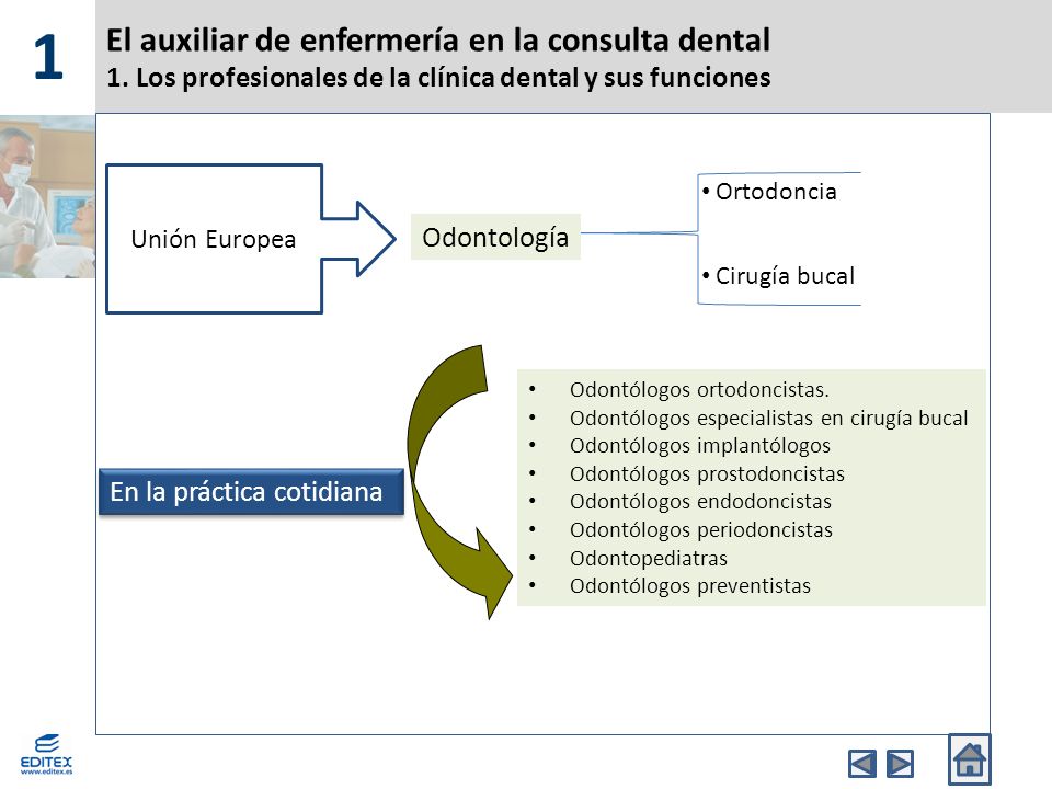 1 El auxiliar de enfermería en la consulta dental 1. Los profesionales de la clínica dental y sus funciones.