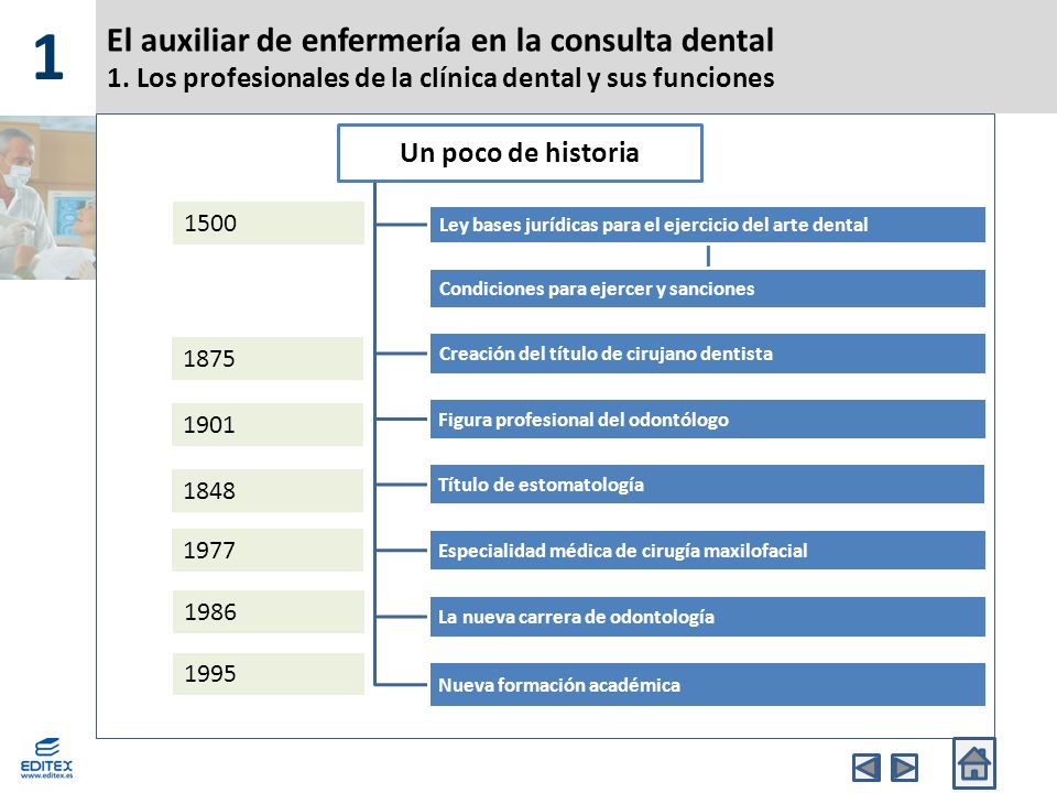 1. LOS PROFESIONALES DE LA CLÍNICA DENTAL Y SUS FUNCIONES