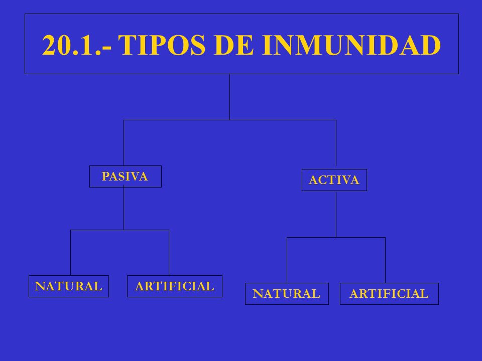 TIPOS DE INMUNIDAD PASIVA ACTIVA NATURAL ARTIFICIAL NATURAL