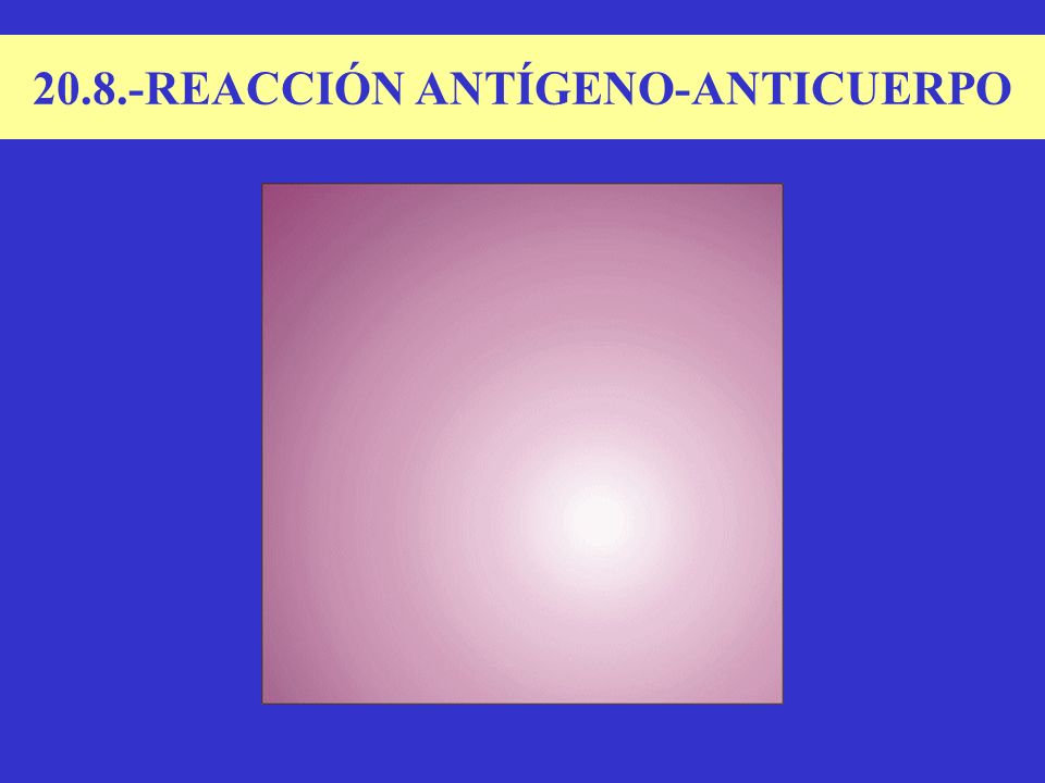 20.8.-REACCIÓN ANTÍGENO-ANTICUERPO