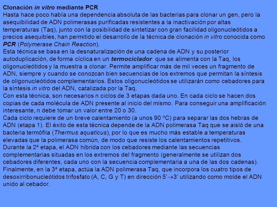 Clonación in vitro mediante PCR Hasta hace poco había una dependencia absoluta de las bacterias para clonar un gen, pero la asequibilidad de ADN polimerasas purificadas resistentes a la inactivación por altas temperaturas (Taq), junto con la posibilidad de sintetizar con gran facilidad oligonucleótidos a precios asequibles, han permitido el desarrollo de la técnica de clonación in vitro conocida como PCR (Polymerase Chain Reaction).