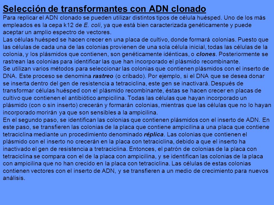 Selección de transformantes con ADN clonado Para replicar el ADN clonado se pueden utilizar distintos tipos de célula huésped.