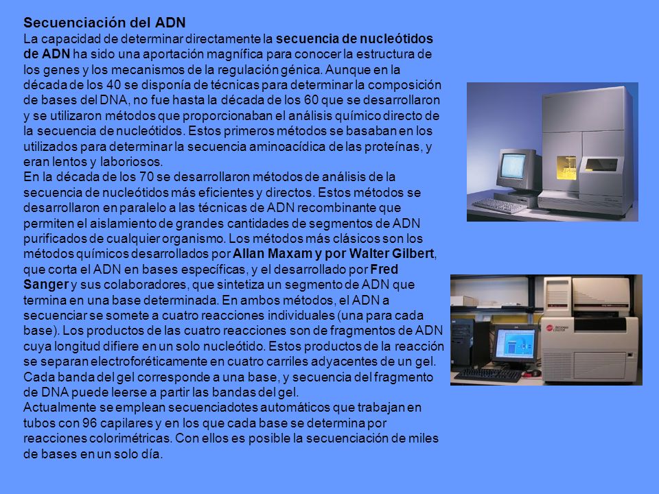 Secuenciación del ADN La capacidad de determinar directamente la secuencia de nucleótidos de ADN ha sido una aportación magnífica para conocer la estructura de los genes y los mecanismos de la regulación génica.