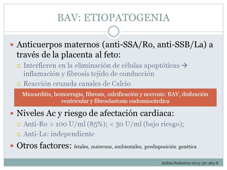 BAV: ETIOPATOGENIA Anticuerpos maternos (anti-SSA/Ro, anti-SSB/La) a través de la placenta al feto: